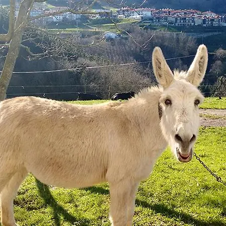 Çiftlik konaklama Agroturismo Azkue